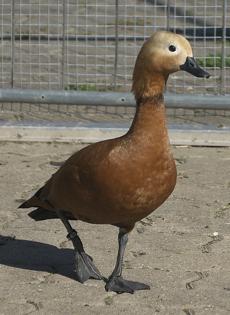 一次重要补