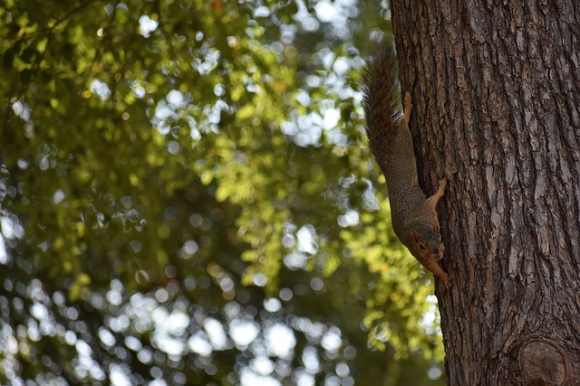 价的宝藏 价的宝藏