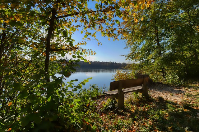 瑞典巨星伊 瑞典巨星伊